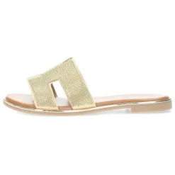 Gouden slippers