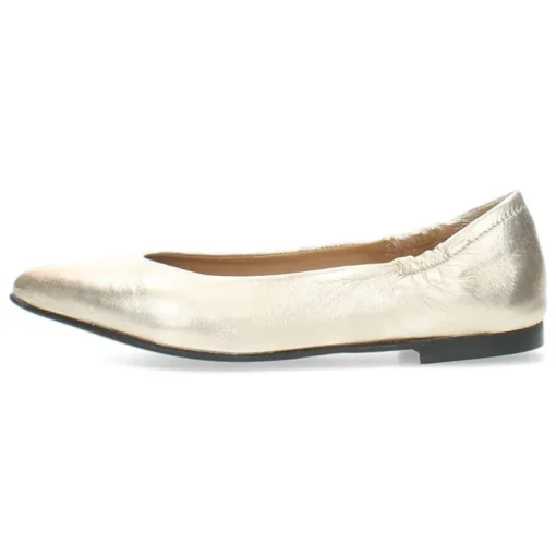 Metallic ballerina's
