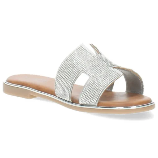 Zilveren slippers