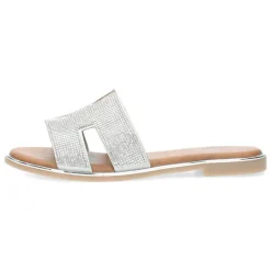 Zilveren slippers