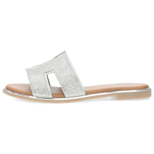 Zilveren slippers