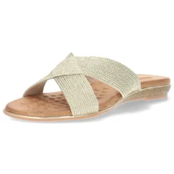 Gouden slippers
