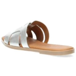 Zilveren slippers
